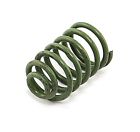 16752.12 Drum Brake Shoe Hold Down Spring 804314029210