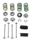H4060-2 Carlson Brake Shoes Hold Down