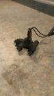 539.mg1s73 Midget 1973 Brake Proportioning Valve