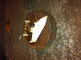533-50857 Oldsmobile 1984 Olds Vista Rear Brakes