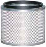Baldwin PA2557 Air Element. Fixed Price $59.84.