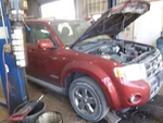Rear Brakes Drum Fits 08-12 Escape 2074459. Fixed Price $65.00.