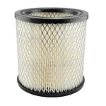 Baldwin PA1721 Air Filter (genuine). Fixed Price $39.95.