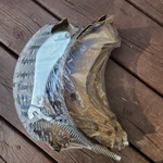 Brake Shoes 2005-2008 Chevy Silverado 1500 Excludes Vehicles With Hold Down Pins. Fixed Price $35.00.