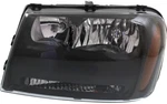 New Driver Side Headlight For Chevrolet Trailblazer 2006-2009. Fixed Price $125.83.