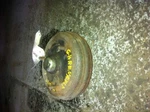 76-83 Renault R-5/LE Car Rear Brakes. Fixed Price $97.20.