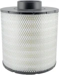 Baldwin Air Element PA2820. Fixed Price $104.48.