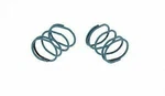 Parking Brake Strut Spring Carlson H1341-2. Fixed Price $16.54.