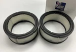 (2) Carquest 87444 Air Filter Replace CA8507 42444 LAF5802 PA3901 P607255. Fixed Price $37.95.